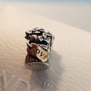 Pandora Charm